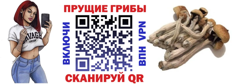 Псилоцибиновые грибы ЛСД  Хадыженск 